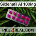 Sildenafil Al 100Mg 09